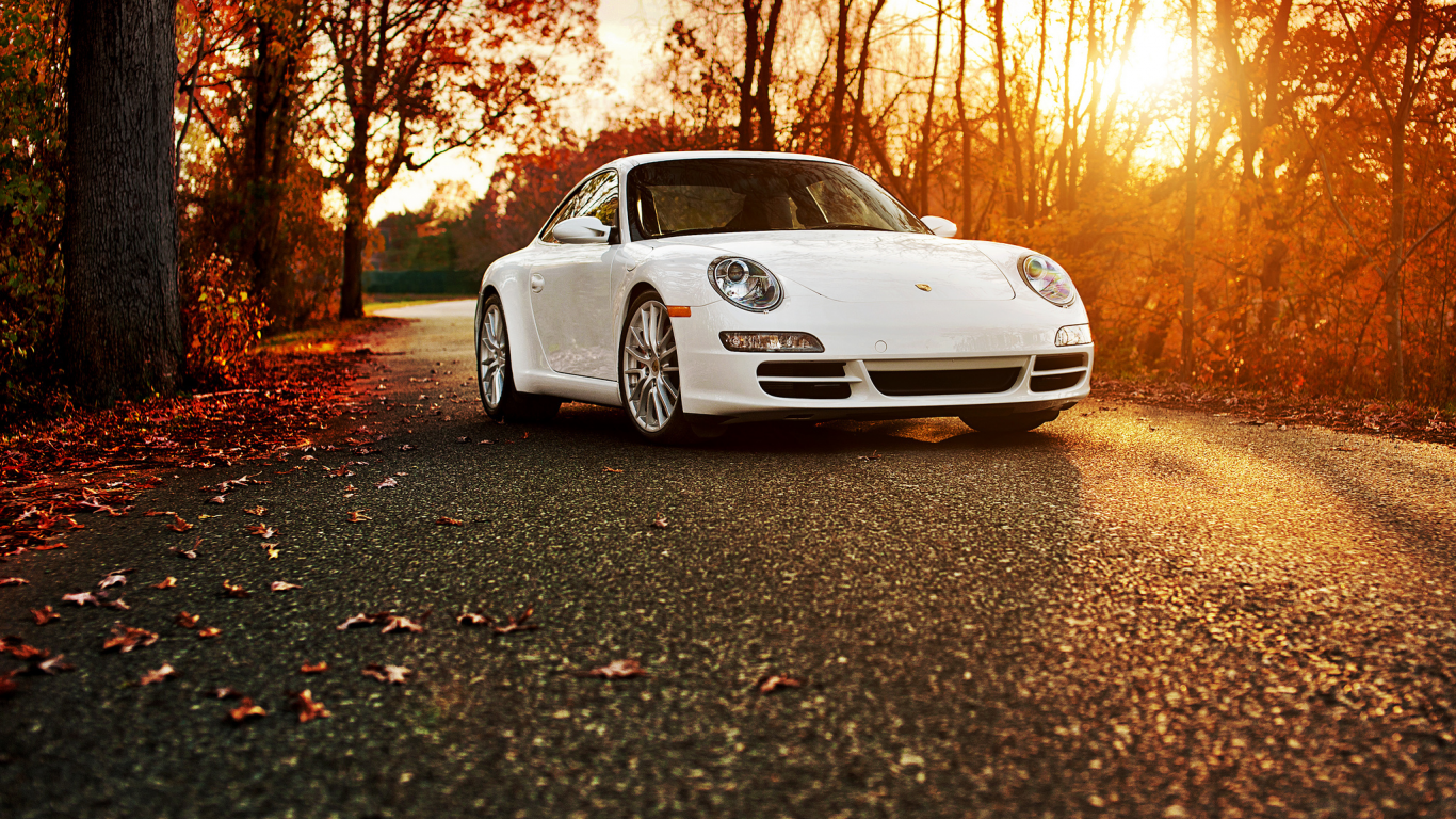 порше, осень, 911, Porsche 911 carrera s, белый