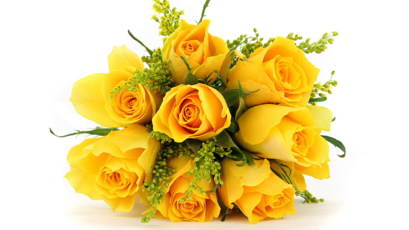 букет, жёлтые, розы, Цветы
