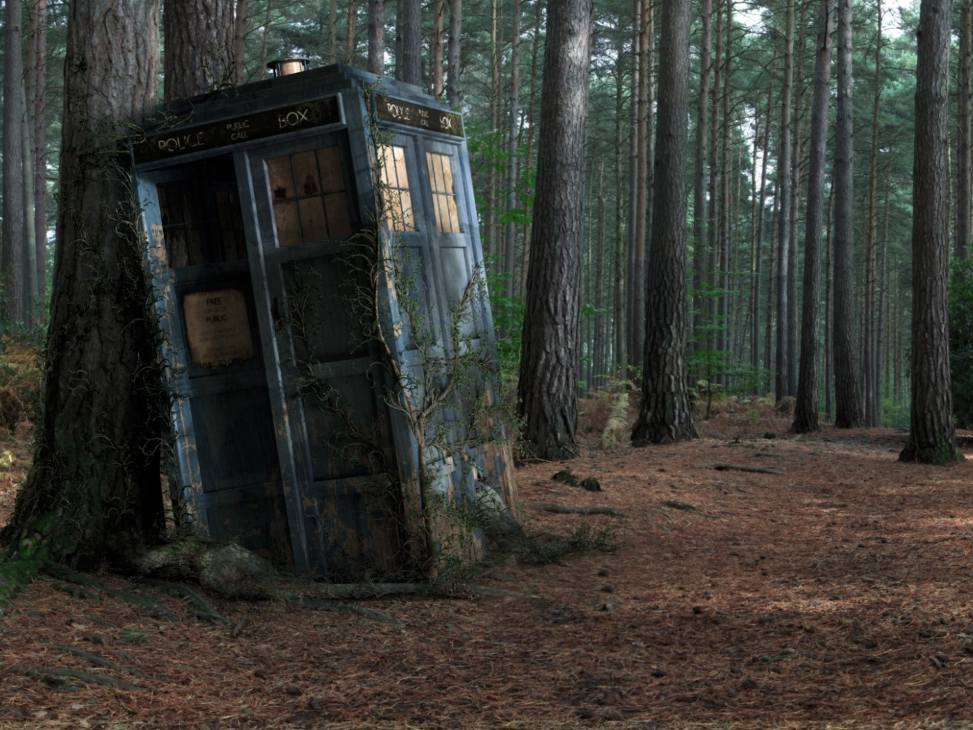 forest, box, tardis, Police box, tree