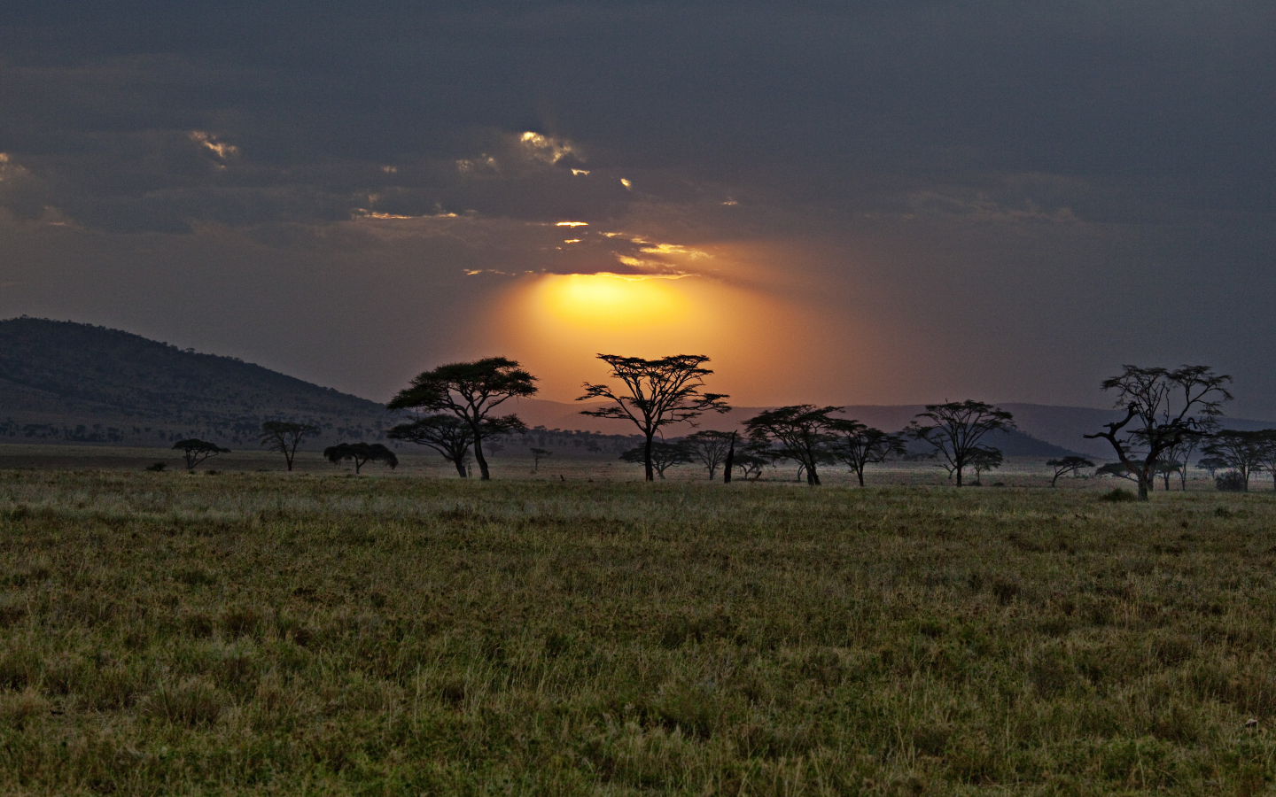 кения, закат, Африка, саванна