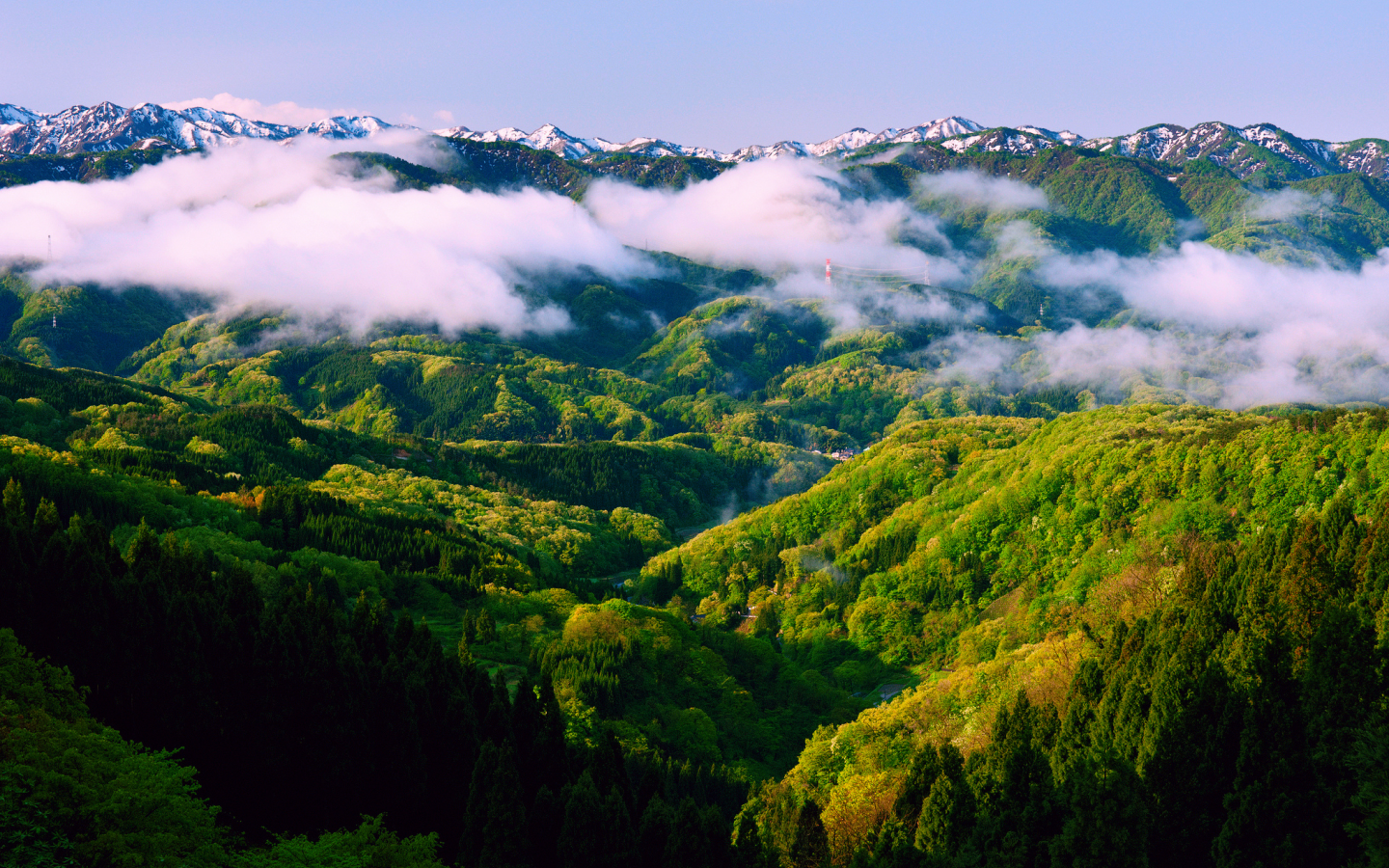 исикава, туман, хонсю, весна, лес, Япония, горы, утро