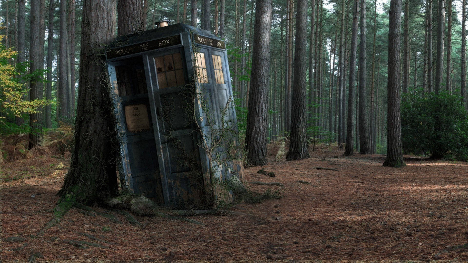 forest, box, tardis, Police box, tree