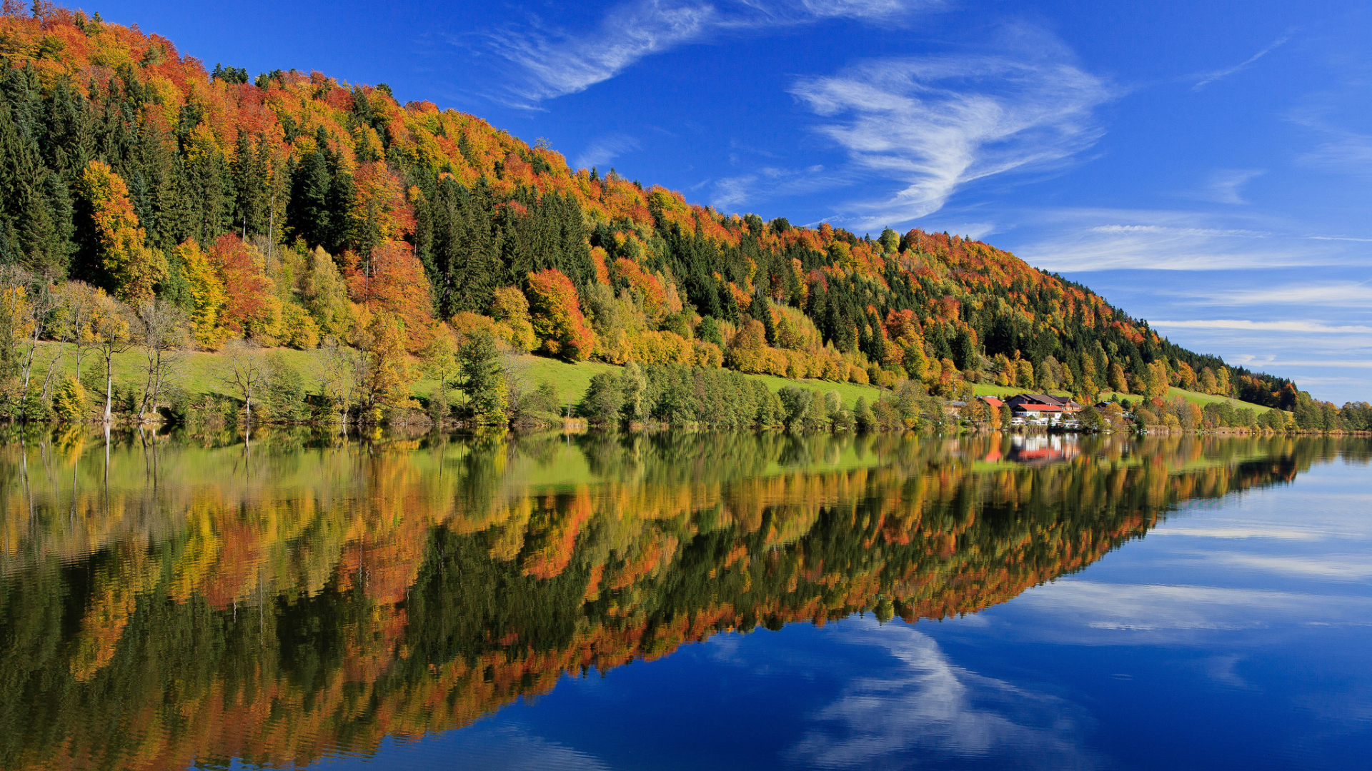 Германия, бавария, деревья, осень, лес, разноцветные