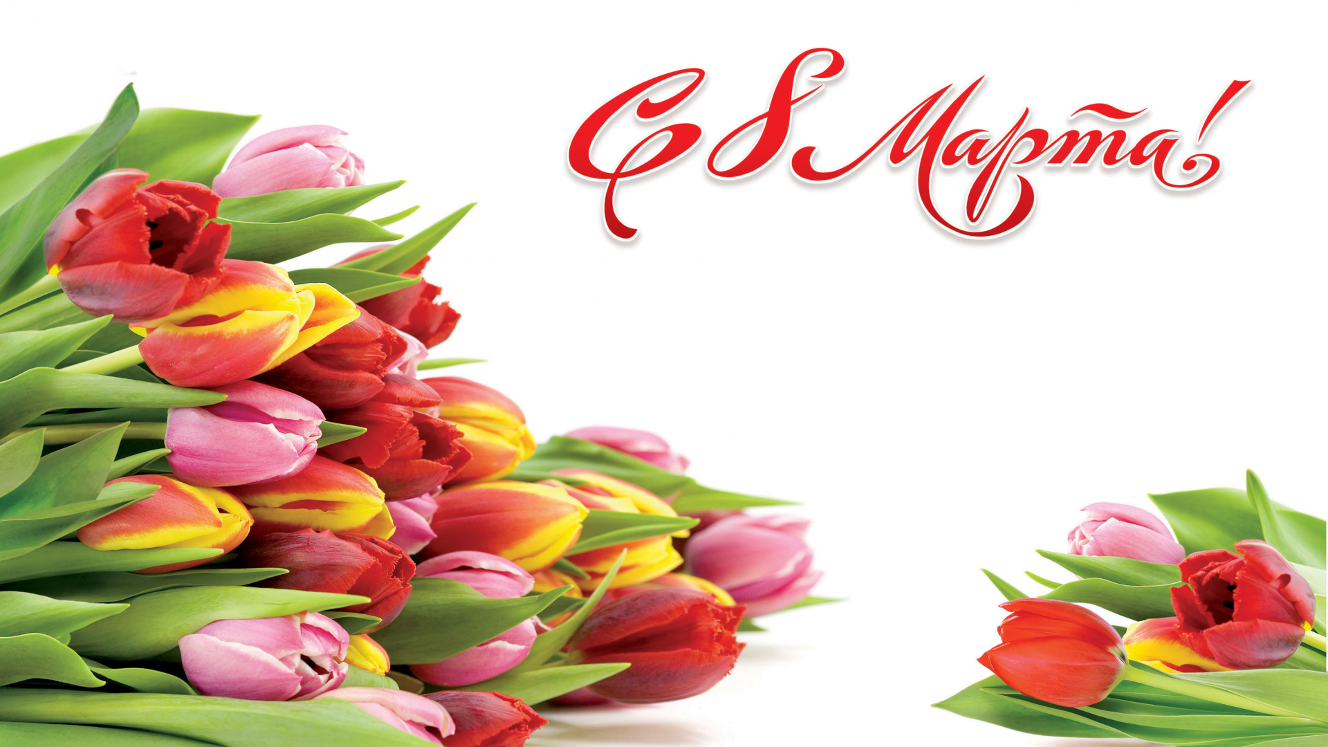 женский день, 8 марта, тюльпаны