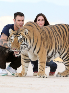 Тигр, Megan Fox