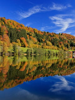 Германия, бавария, деревья, осень, лес, разноцветные