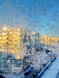 Зима, мороз, дома, окно, узор