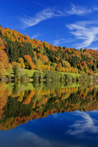 Германия, бавария, деревья, осень, лес, разноцветные
