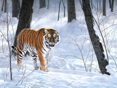 лес, живопись, тигр, тайга, Charles frace, emperor of siberia, зима