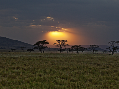 кения, закат, Африка, саванна