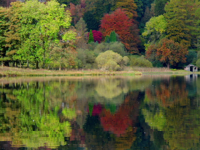 природа, united kingdom, england, grasmere, Великобритания, англия