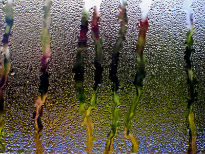 потоки, Дождь, окно, стекло, капли, вода