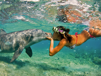 океан, Дельфин, поцелуй, море, девушка, природа, лето