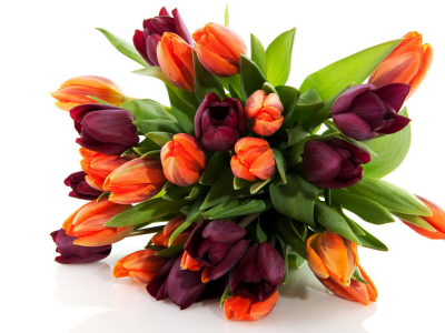 букет, весна, цветок, природа, тюльпаны, Цветы