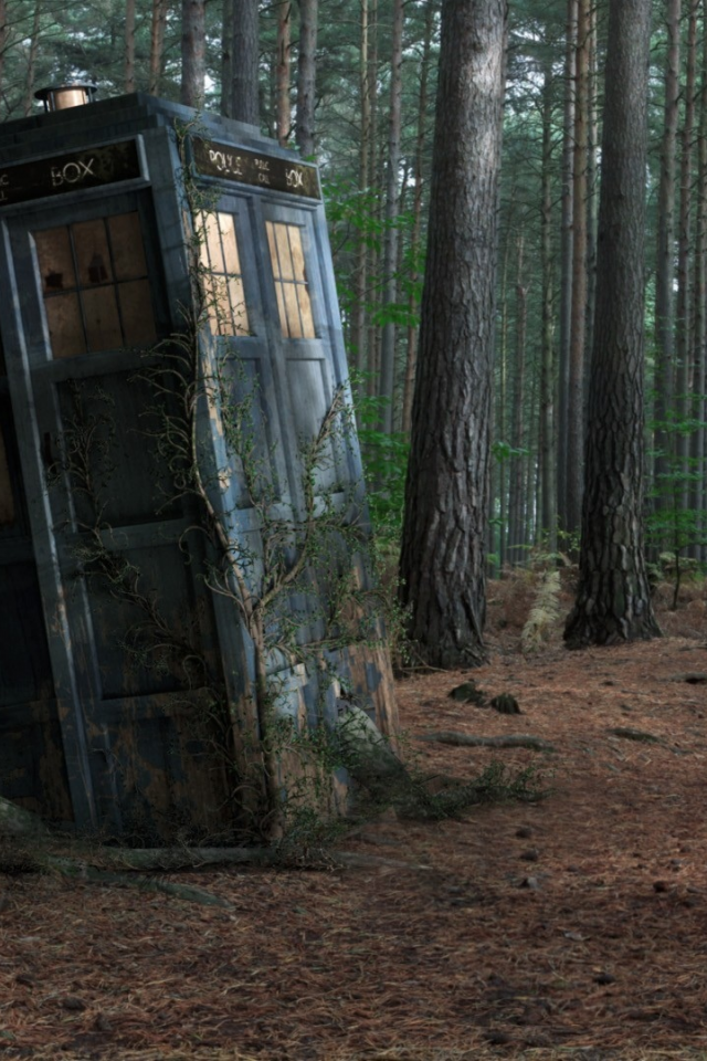 forest, box, tardis, Police box, tree