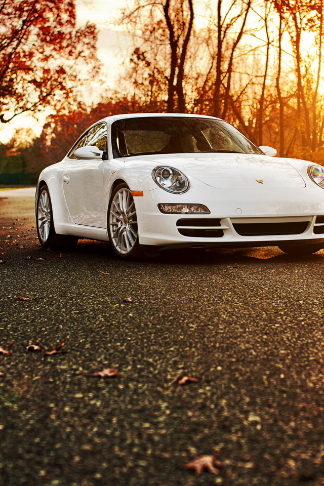 порше, осень, 911, Porsche 911 carrera s, белый