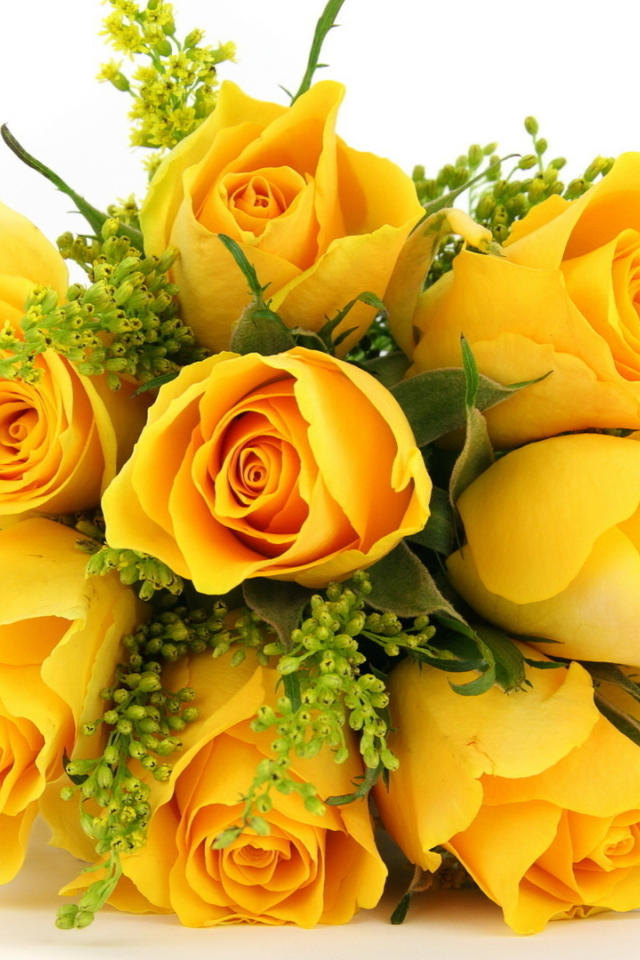 букет, жёлтые, розы, Цветы
