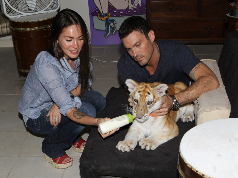 Тигр, Megan Fox