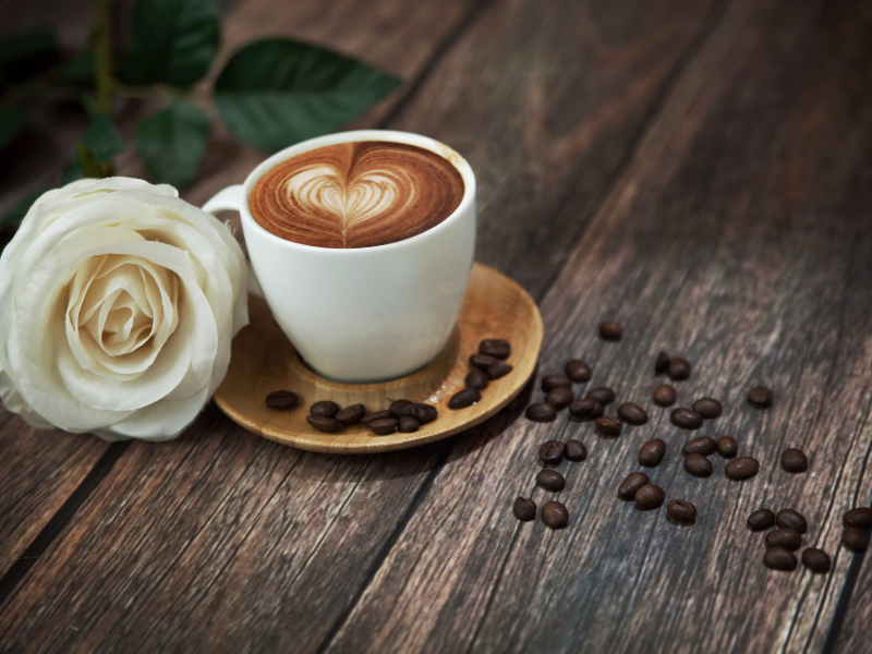 кофе, напиток, роза, Кружка, белая роза, цветок, пена