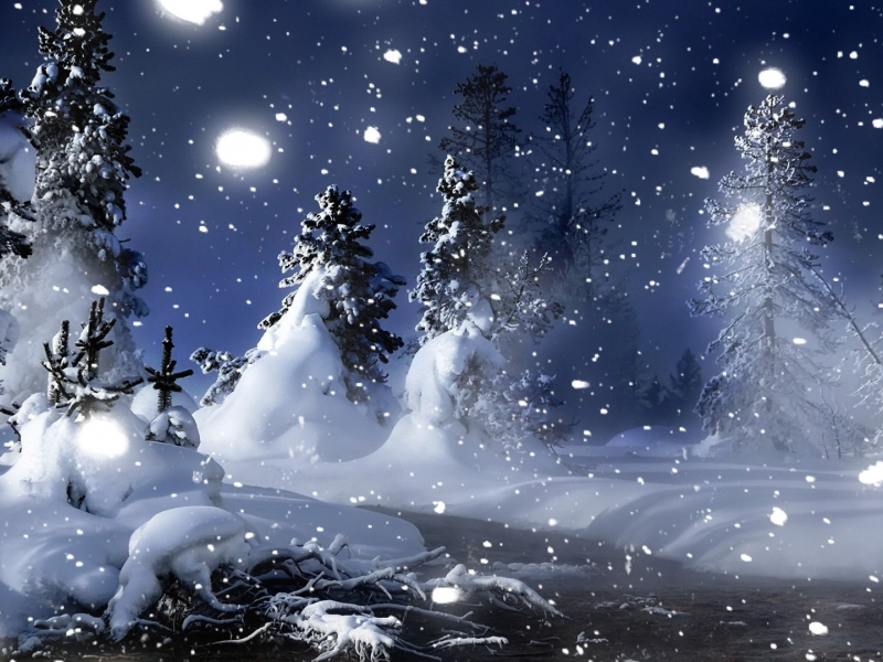 елки, Зима, река, ночь, деревья, снег