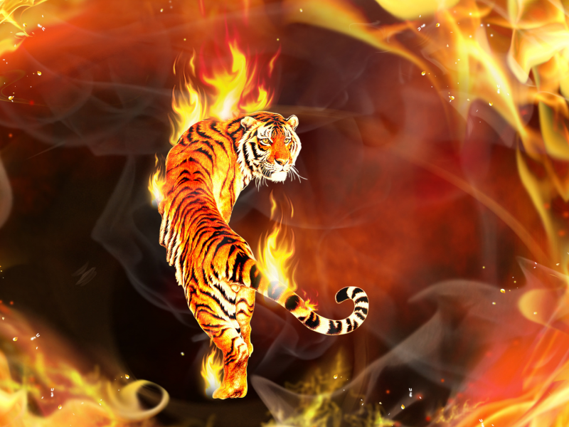пламя, Тигр, огонь