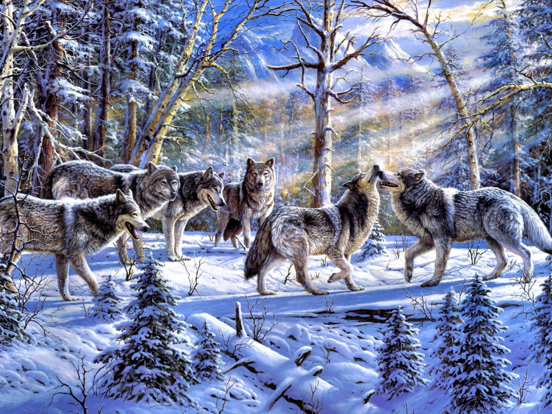 лес, kindred spirits, волки, стая, Ronnie hedge, живопись, зима