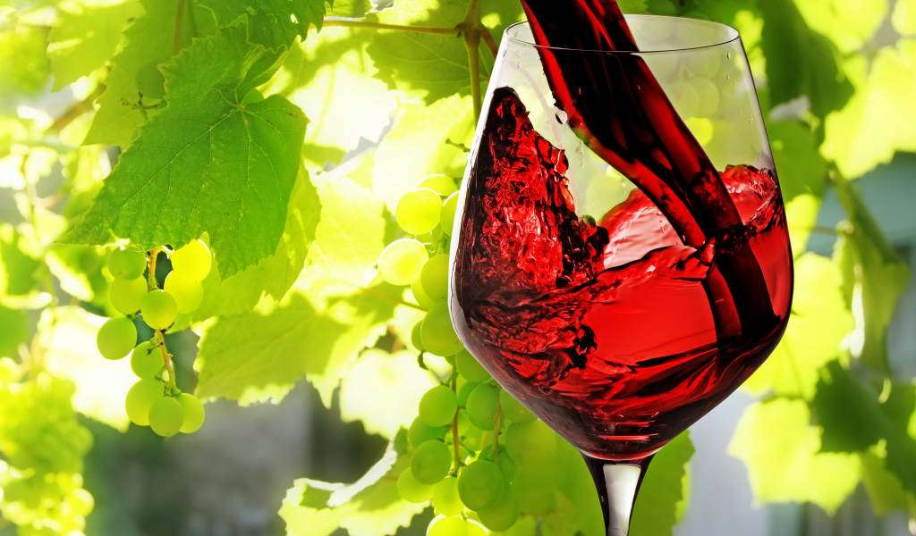 Вино, красное, наливается, бокал, виноград, листья