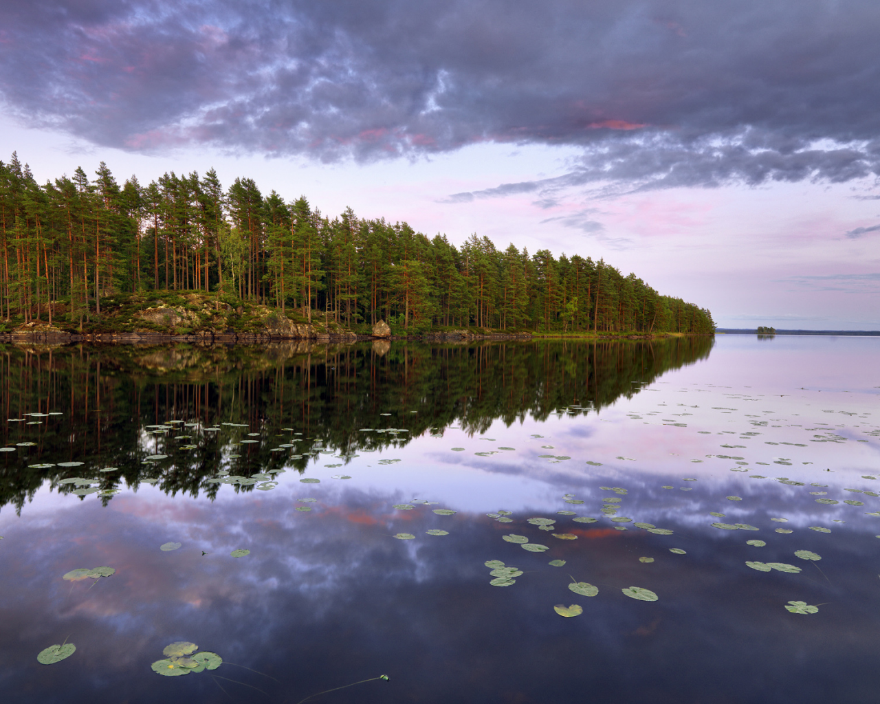 Lake teen, остров, n__rke, деревья, sweden, швеция, лес, озеро