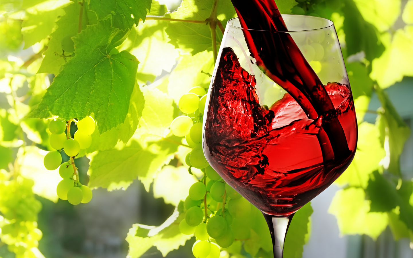 Вино, красное, наливается, бокал, виноград, листья