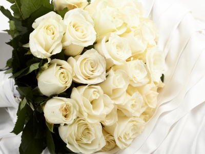 белые, ткань, букет, цветы, Розы