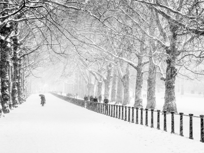 снег, люди, парк, город, лондон, Зима, дорога, деревья