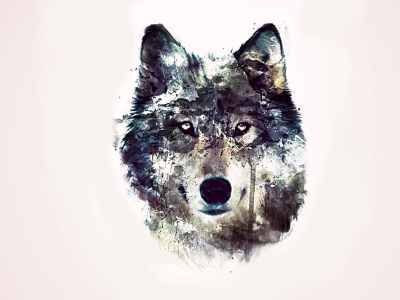 Абстракции, глаза, волк, фон