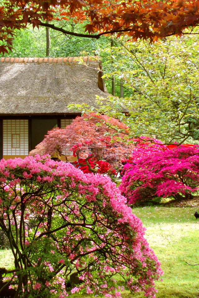 деревья, Японский сад, дом, цветы, пейзаж