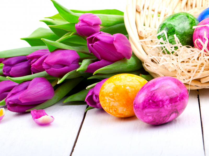 Тюльпаны, сиреневые, цветы, весна, пасха, праздник