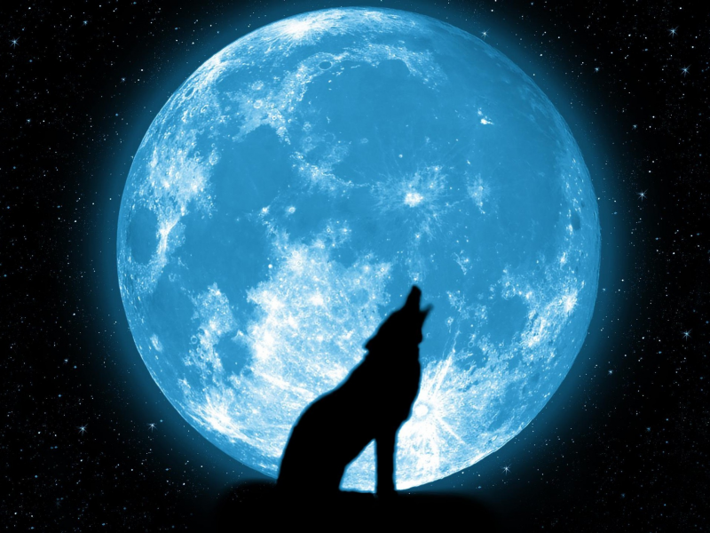 красиво, Луна, звезды, вой, волк