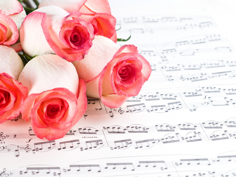 бутоны, цветы, Розы, розовые, ноты