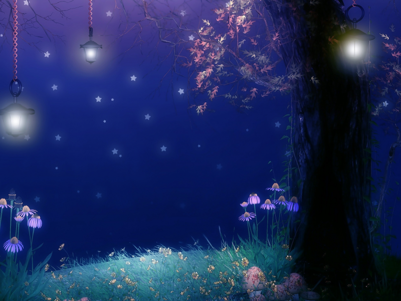 Дерево, звёзды, ночь, фонари, листва, грибы, цветы