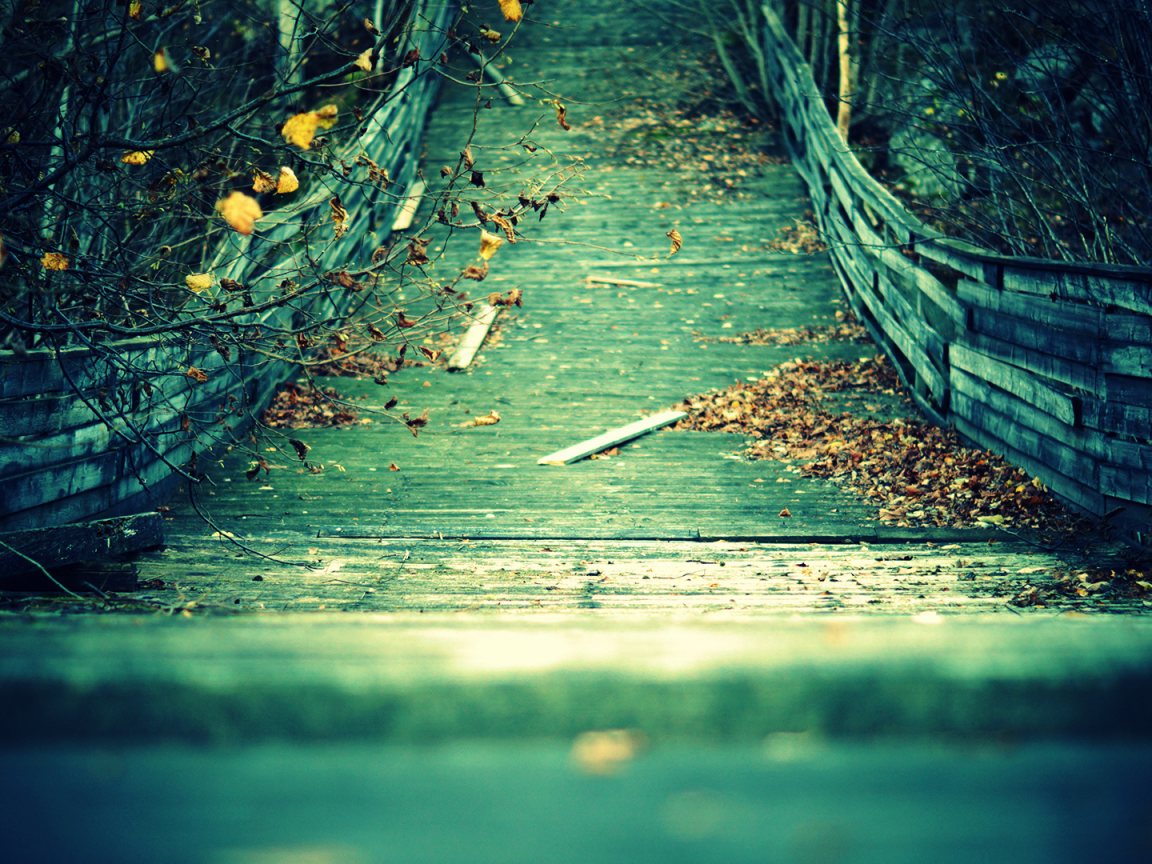 доски, Мост, ветки, желтые, осень, листья