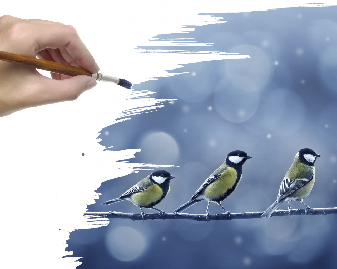 Кисть, рисунок, ветка, синицы, снег, птички, рука