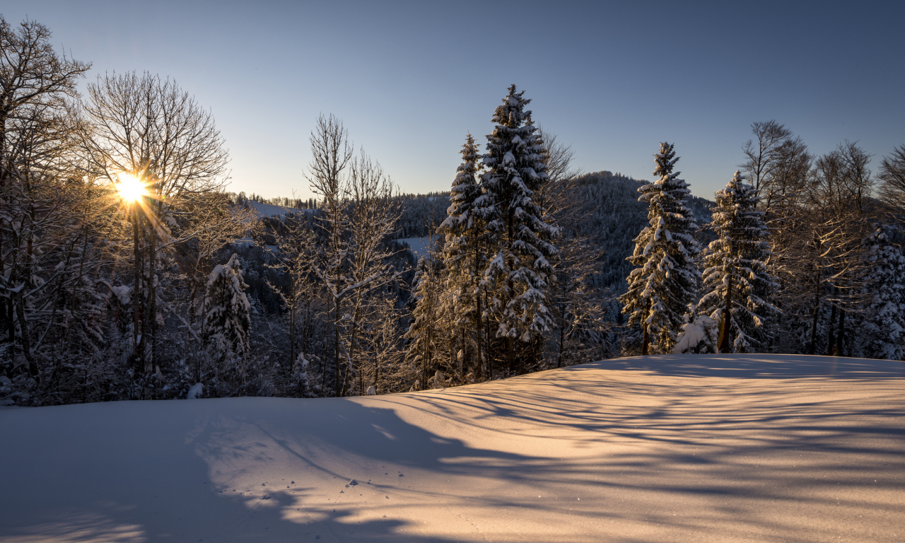 швейцария, hulftegg, зима, утро, природа, санкт-галлен