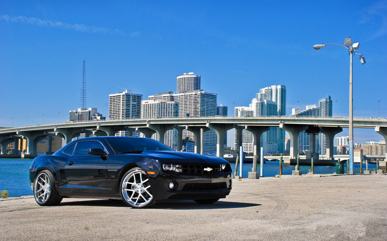 чёрный, black, Chevrolet, camaro ss, шевроле камаро сс, florida, miami