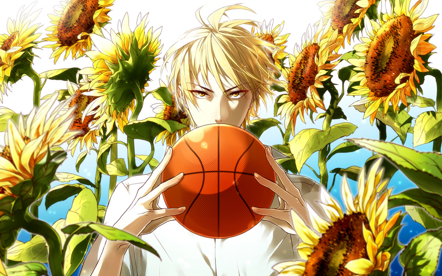 kaijou, парень, Kuroko no basket, баскетбол куроко, ryouta, мяч, kise