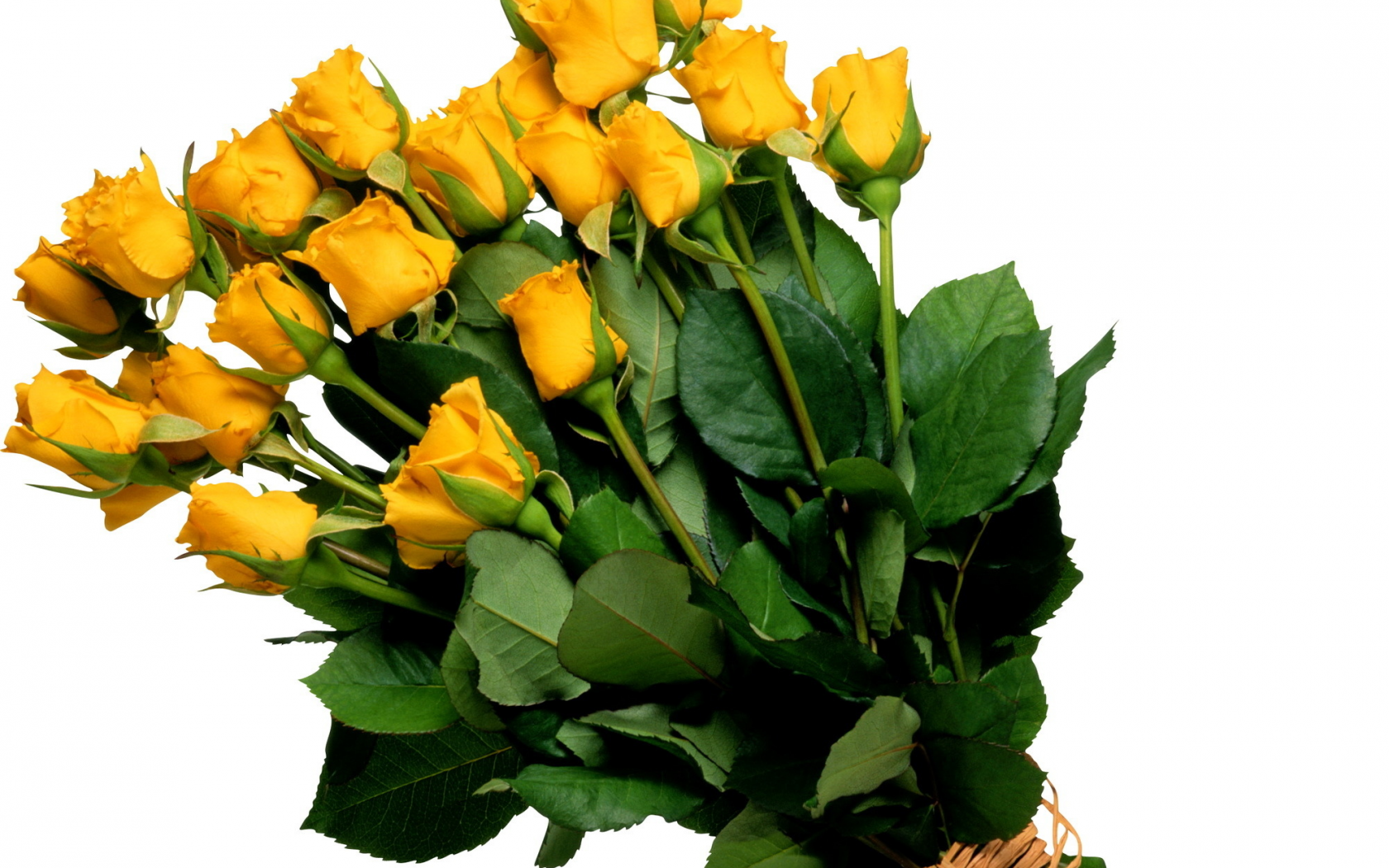 желтые, букет, цветок, жёлтые, Розы, цветы