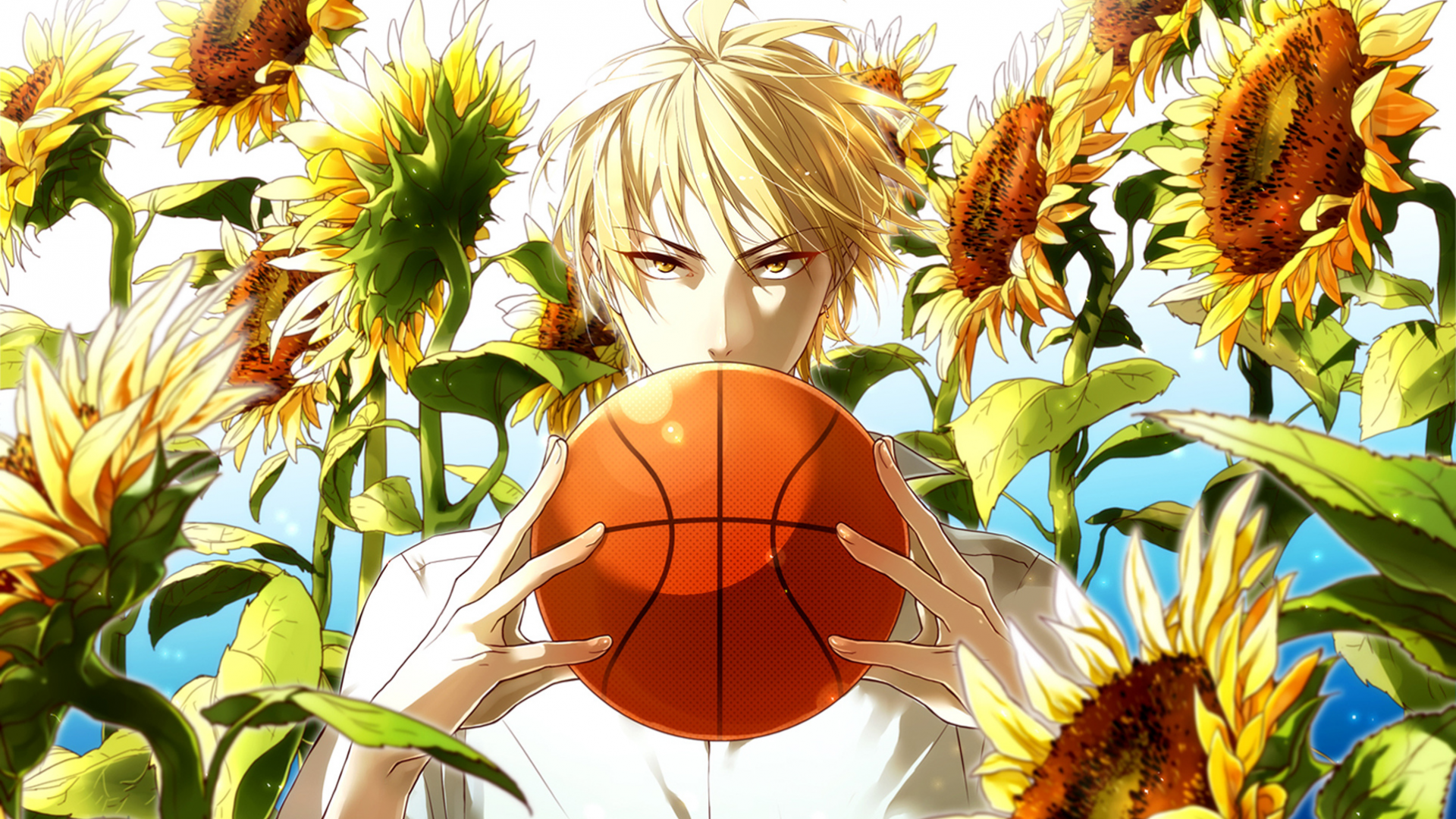 kaijou, парень, Kuroko no basket, баскетбол куроко, ryouta, мяч, kise