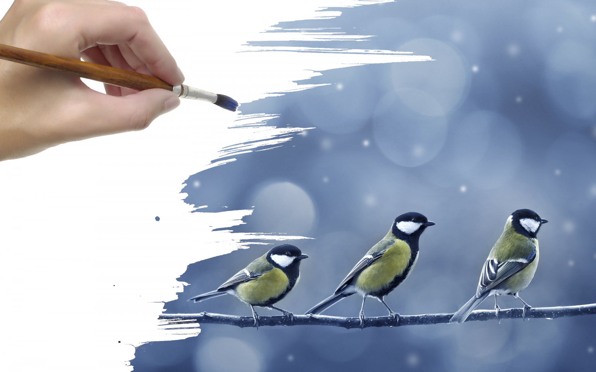 Кисть, рисунок, ветка, синицы, снег, птички, рука