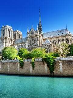 paris, france, собор парижской богоматери, Notre dame de paris