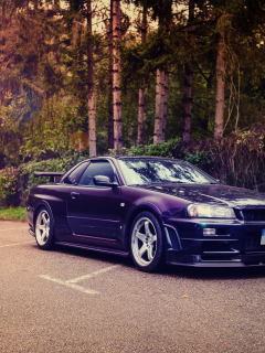 skyline, nismo, nissan, s-tune, r34, gt-r