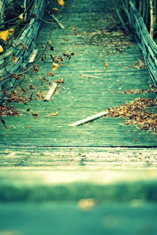 доски, Мост, ветки, желтые, осень, листья