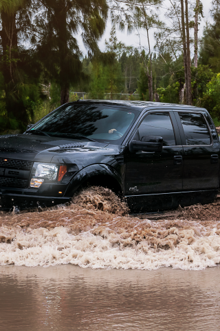 форд, лес, черный, болото, wb ford raptor 