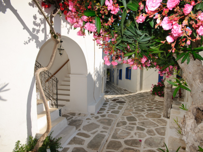 Дома, цветы, santorini, greece